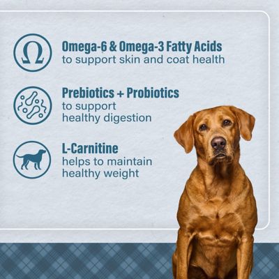 Image showing  Large Breed Adult Chicken and Brown Rice Recipe Dry Dog Food, 40 lb. Bag