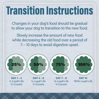 Image showing 8 th Nutrena Loyall Life Large Breed Adult Chicken and Brown Rice Recipe Dry Dog Food, 40 lb. Bag