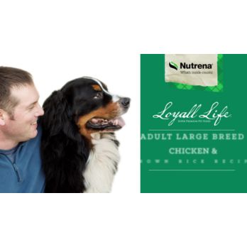 Nutrena loyall hot sale life large breed