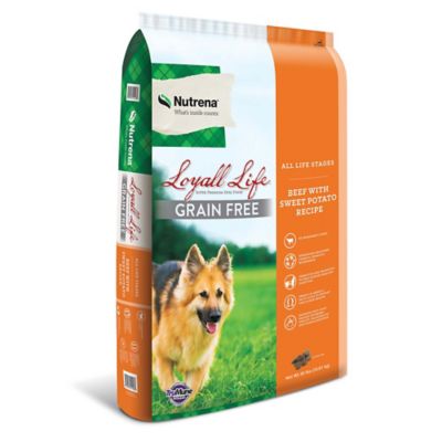 Nutrena Loyall Life All Life Stages Grain-Free Beef and Sweet Potato Recipe Dry Dog Food dog loves this food