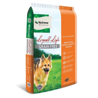 tractor supply dog food grain free