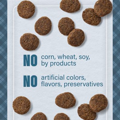 Image showing 5 th Nutrena Loyall Life All Life Stages Grain-Free Beef and Sweet Potato Recipe Dry Dog Food, 30 lb. Bag