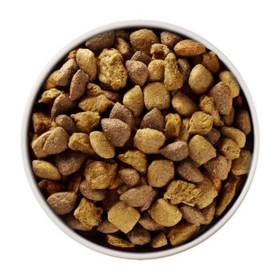 Image showing  Plus Large Breed Adult Chicken Formula Dry Dog Food