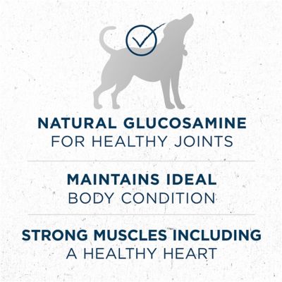 Image showing  Plus Large Breed Adult Chicken Formula Dry Dog Food