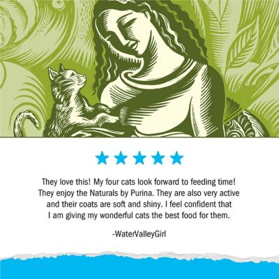 Image showing 8 th Purina Cat Chow Naturals Adult Indoor Hairball and Healthy Weight Chicken Recipe Dry Cat Food