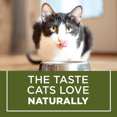 Image showing 9 th Purina Cat Chow Naturals Adult Indoor Hairball and Healthy Weight Chicken Recipe Dry Cat Food