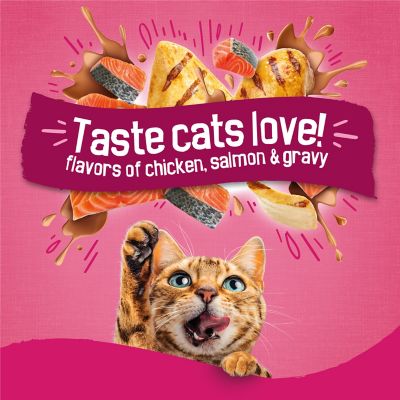 Image showing 2 th Purina Friskies Gravy Swirlers Chicken & Salmon Flavor Dry Cat Food