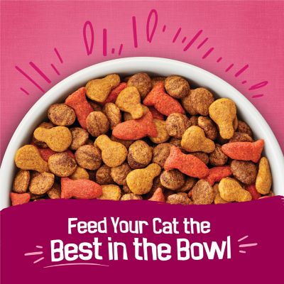 Image showing 6 th Purina Friskies Gravy Swirlers Chicken & Salmon Flavor Dry Cat Food