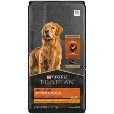 Purina Pro Plan High Protein Dog Food With Probiotics for Dogs, Shredded Blend Chicken & Rice Formula It’s reasonably high calorie and is nutritionally balanced