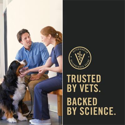 Image showing 9 th Purina Pro Plan Adult High-Protein Shredded Blend Chicken and Rice Formula Dry Dog Food with Probiotics