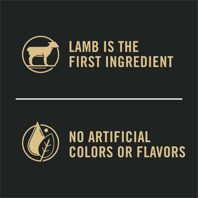 Image showing  Complete Essentials Adult Shredded Blend Lamb and Rice Formula Dry Dog Food