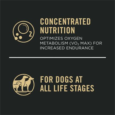 Image showing  Sport All Life Stages 30/20 Performance Chicken and Rice Formula Dry Dog Food