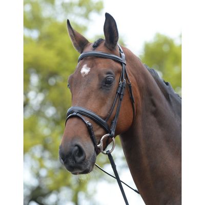 Kincade Padded Headpiece Flash Bridle