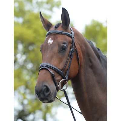 Kincade Padded Headpiece Flash English Bridle