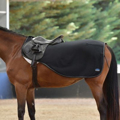 Image showing WeatherBeeta Anti-Static Fleece Quarter Horse Sheet