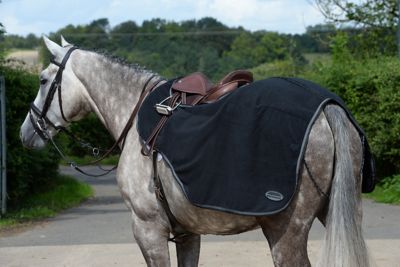 WeatherBeeta Anti-Static Fleece Quarter Horse Sheet