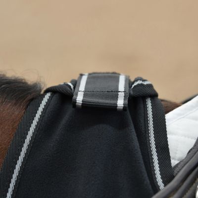 Image showing  Anti-Static Fleece Quarter Horse Sheet