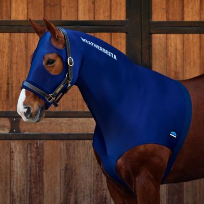 Image showing  Stretch Horse Hood with Zip, Navy, Full