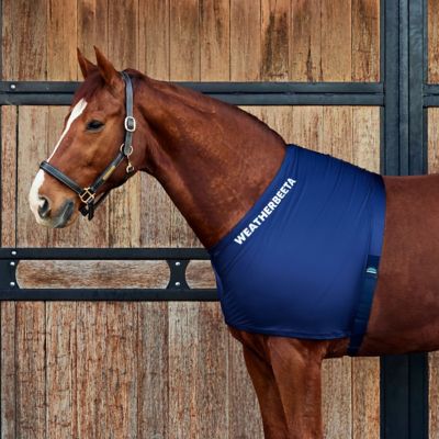 Image showing  Stretch Cob Shoulder Guard