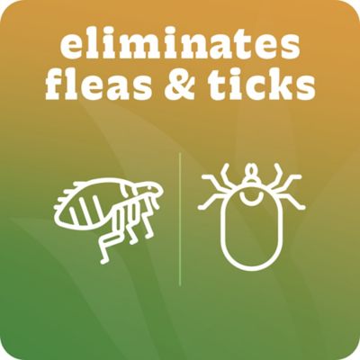 Image showing  Flea & Tick Dog Shampoo, 20 oz.