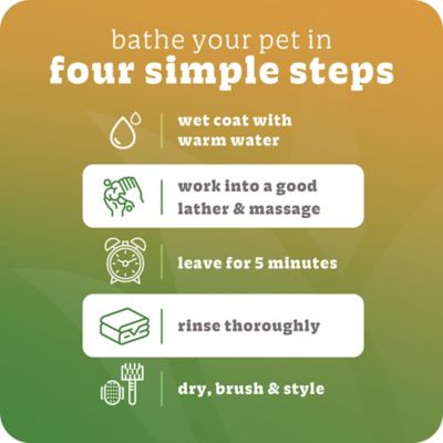 Image showing  Flea & Tick Dog Shampoo, 20 oz.