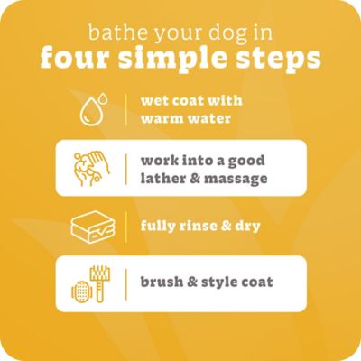 Image showing  Gentle Fresh Puppy Shampoo & Conditioner, 20 oz.