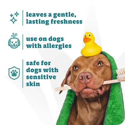 Image showing  Hypoallergenic Dog Shampoo, 20 oz.