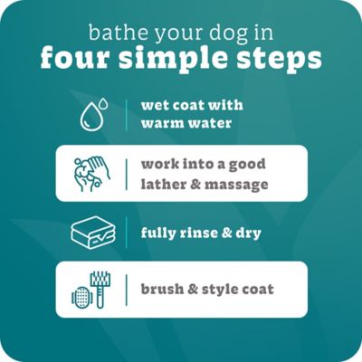 Image showing  Hypoallergenic Dog Shampoo, 20 oz.