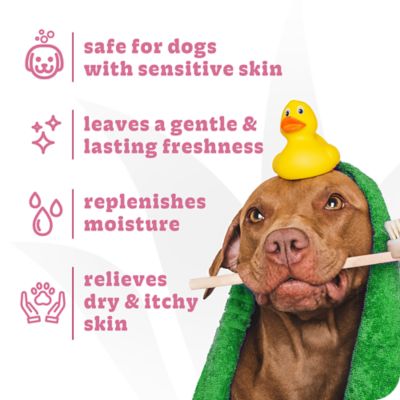 Image showing  Simple Soothe Shampoo & Conditioner, 32 oz.