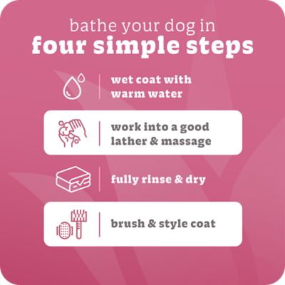 Image showing 5 th Espree Simple Soothe Shampoo and Conditioner, 32 oz.