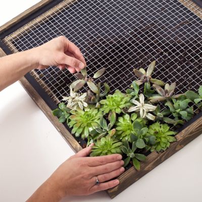 Image showing  1/2 in. Mesh 19-Gauge Hardware Cloth, 100 ft. x 24 in.