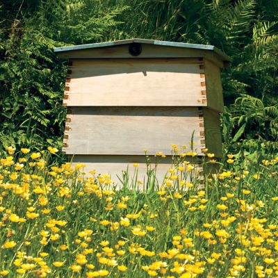 Image showing  1/8 in. Mesh Hardware Cloth, 50 ft. x 24 in.