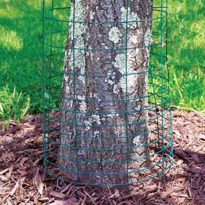 Image showing  50 ft. x 28 in. Vinyl-Coated Rabbit Guard Welded Wire Fence, Green