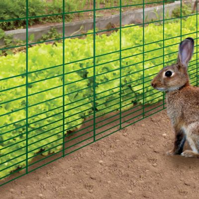 Image showing  50 ft. x 28 in. Vinyl-Coated Rabbit Guard Welded Wire Fence, Green