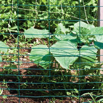 Image showing  50 ft. x 28 in. Vinyl-Coated Rabbit Guard Welded Wire Fence, Green