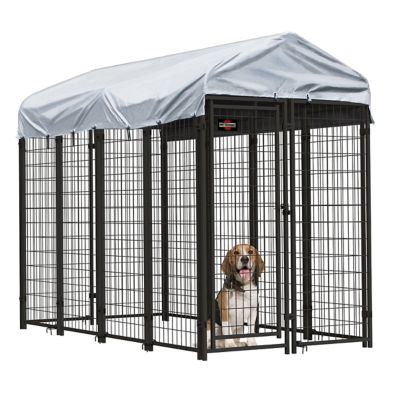 4 foot high dog kennel