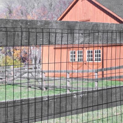 Image showing  100 ft. x 48 in. Vinyl Welded Wire Fence with 2 in. x 4 in. Mesh, Black