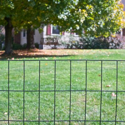 Image showing  100 ft. x 48 in. Vinyl Welded Wire Fence with 2 in. x 4 in. Mesh, Black