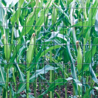 Image showing  100 ft. x 48 in. Vinyl Welded Wire Fence with 2 in. x 4 in. Mesh, Black