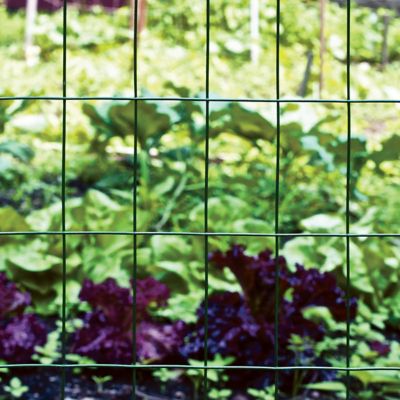 Image showing  36in H x 50ft L Green Vinyl Fence with 2 in. x 4 in. Mesh