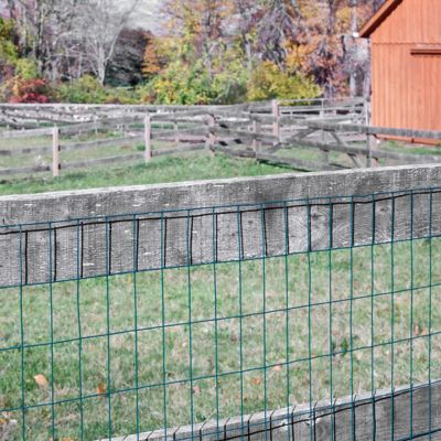Image showing  60 x 50 ft. Green Vinyl Garden Wire Fence with 2 x 4in. Mesh