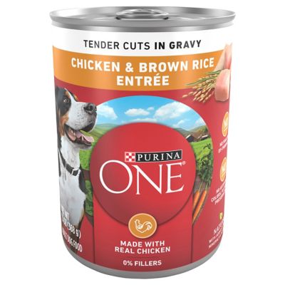 Purina ONE Tender Cuts in Wet Dog Food Gravy Chicken and Brown Rice Entree