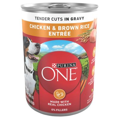 Purina ONE Adult Tender Cuts Chicken and Brown Rice in Gravy Recipe Wet Dog Food, 13 oz.