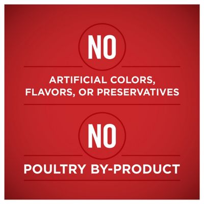 Image showing  Tender Cuts in Gravy Chicken and Brown Rice Entree Wet Dog Food, 13 oz.