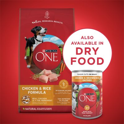 Image showing 7 th Purina ONE Tender Cuts in Gravy Chicken and Brown Rice Entre Wet Dog Food, 13 oz.