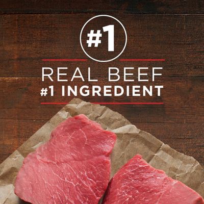 Image showing  True Instinct Classic Ground Grain-Free Real Beef and Wild-Caught Salmon Wet Dog Food, 13 oz.