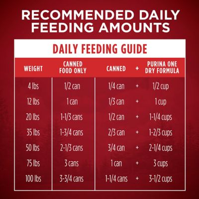 Image showing 7 th Purina ONE True Instinct Classic Ground Grain-Free Real Beef and Wild-Caught Salmon Wet Dog Food, 13 oz.