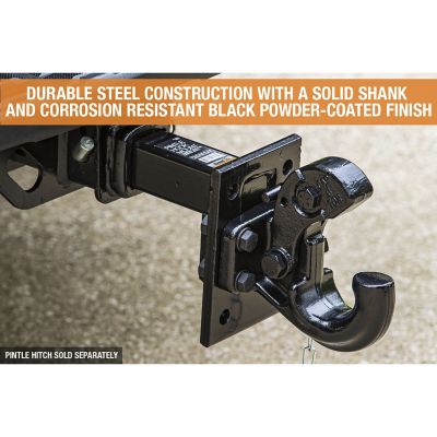 Image showing 6 th Buyers Products 2-Position Pintle Hook Mount with 10 in. Shank