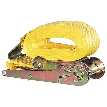 Buyers Products 3 in. x 27 ft. Ratchet Strap with Flat Hooks, RS132715F