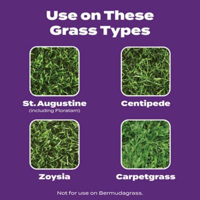 Image showing 5 th Scotts Turf Builder Bonus S Southern Weed & FeedF2, 34.48 lbs.